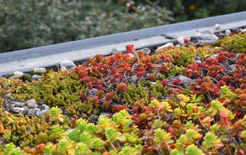 the cost of Swingbrow green roof installation