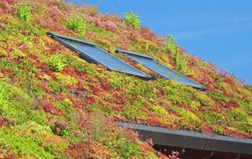 Swingbrow living roof systems