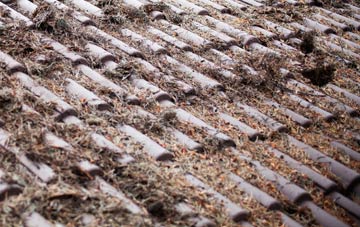 Swingbrow roof cleaning companies