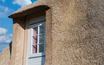 Swingbrow thatch roof disadvantages