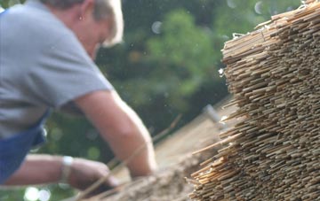 professional Swingbrow thatchers