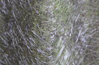 Swingbrow fibreglass roof work