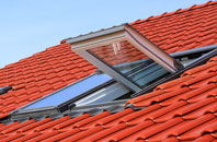 Swingbrow roof window